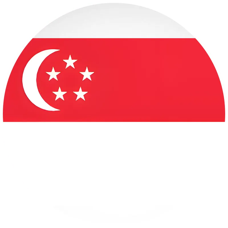 Singapore flag