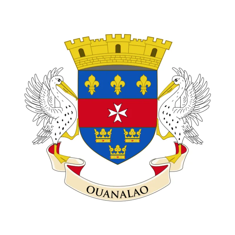 Saint Barthélemy flag